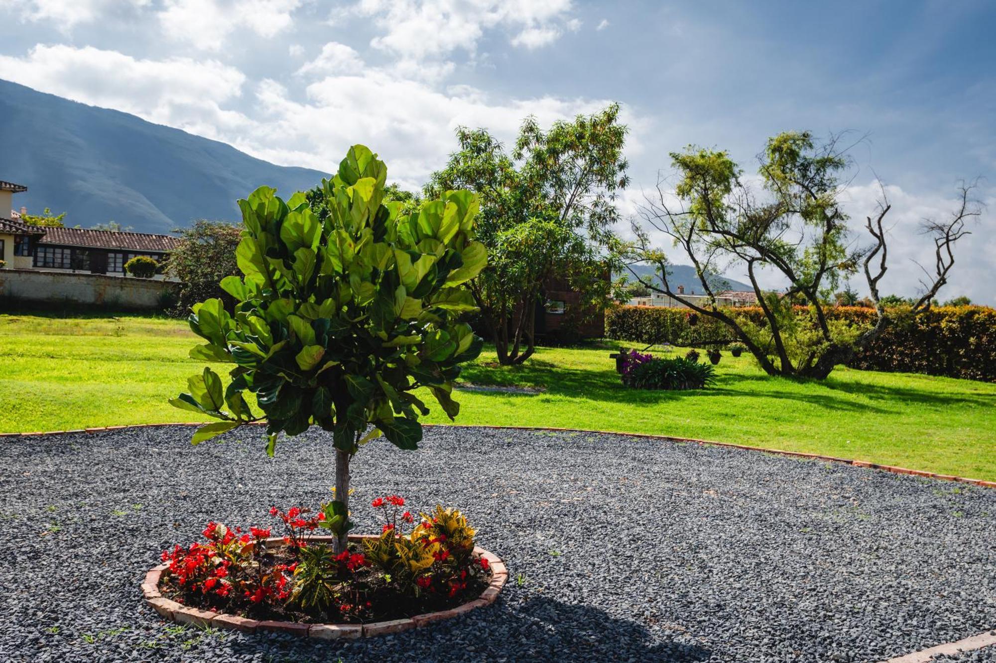 Casa De Las Flores Villa de Leyva Eksteriør billede